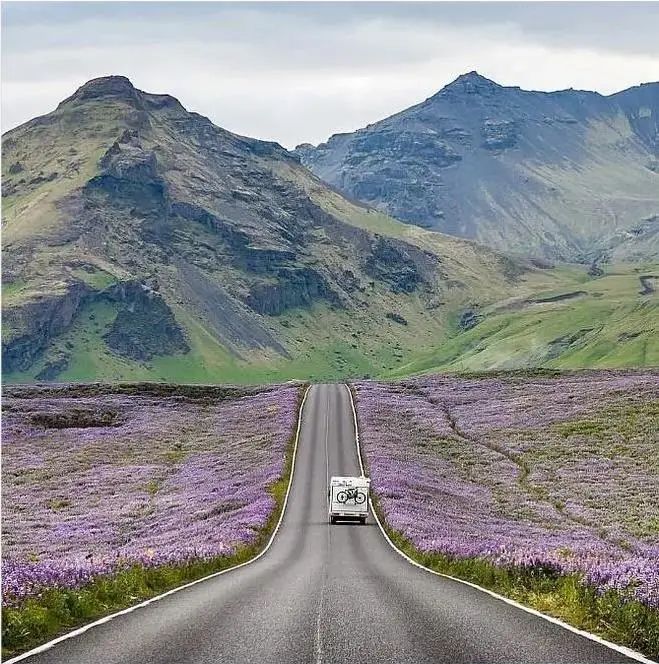 成年人不做選擇題，自由與安穩我都要！